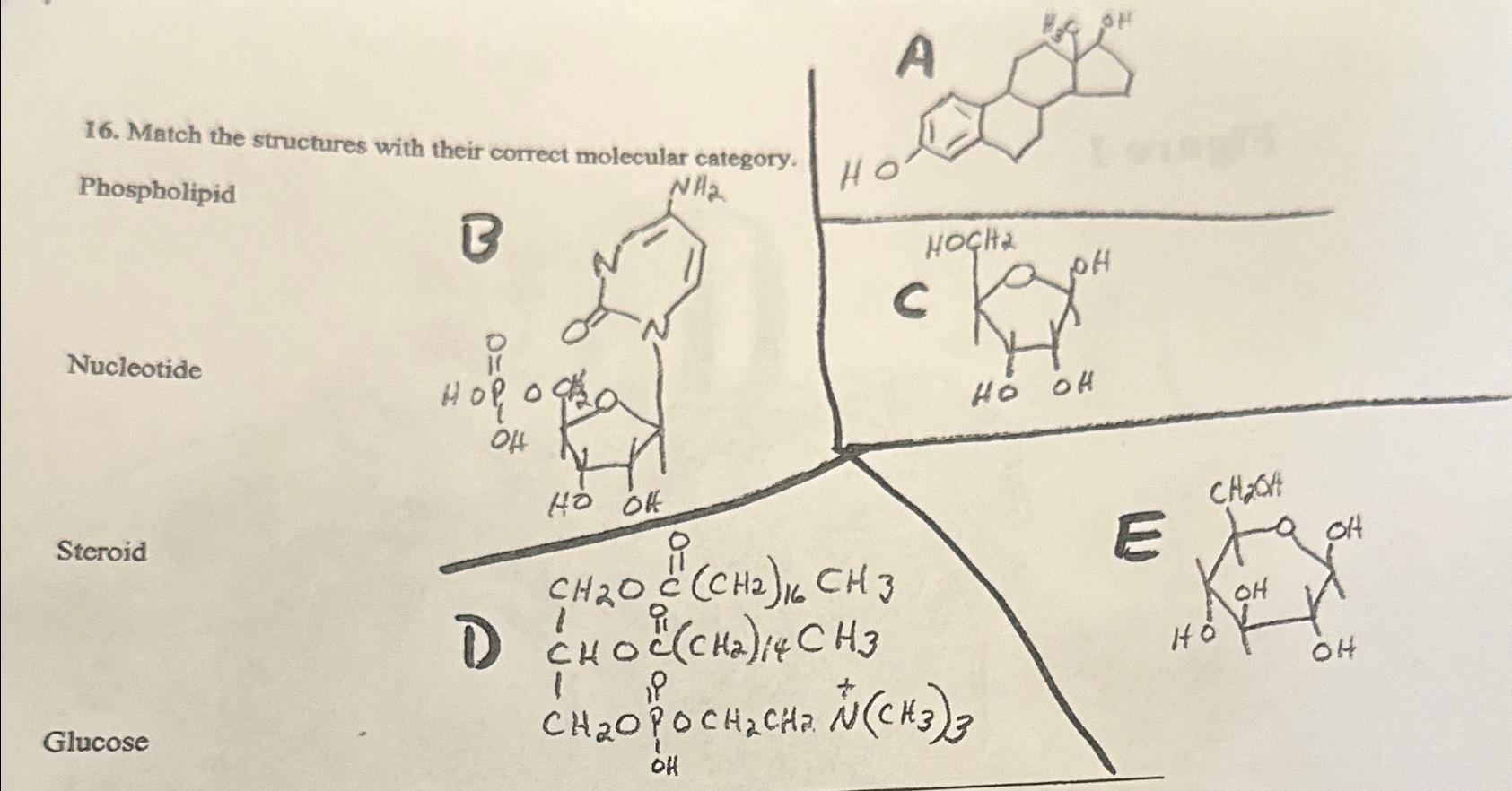 Solved Match the structures with their correct molecular | Chegg.com