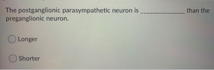 Solved 1 Pointan Excitatory Neurotransmitter Secreted By Chegg Com