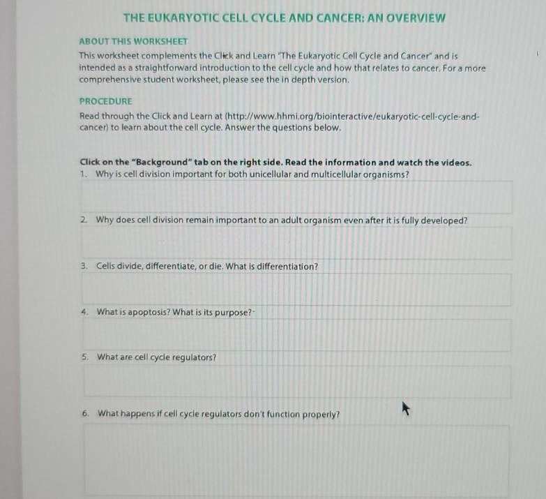 Solved The Eukaryotic Cell Cycle And Cancer An Overview Chegg Com