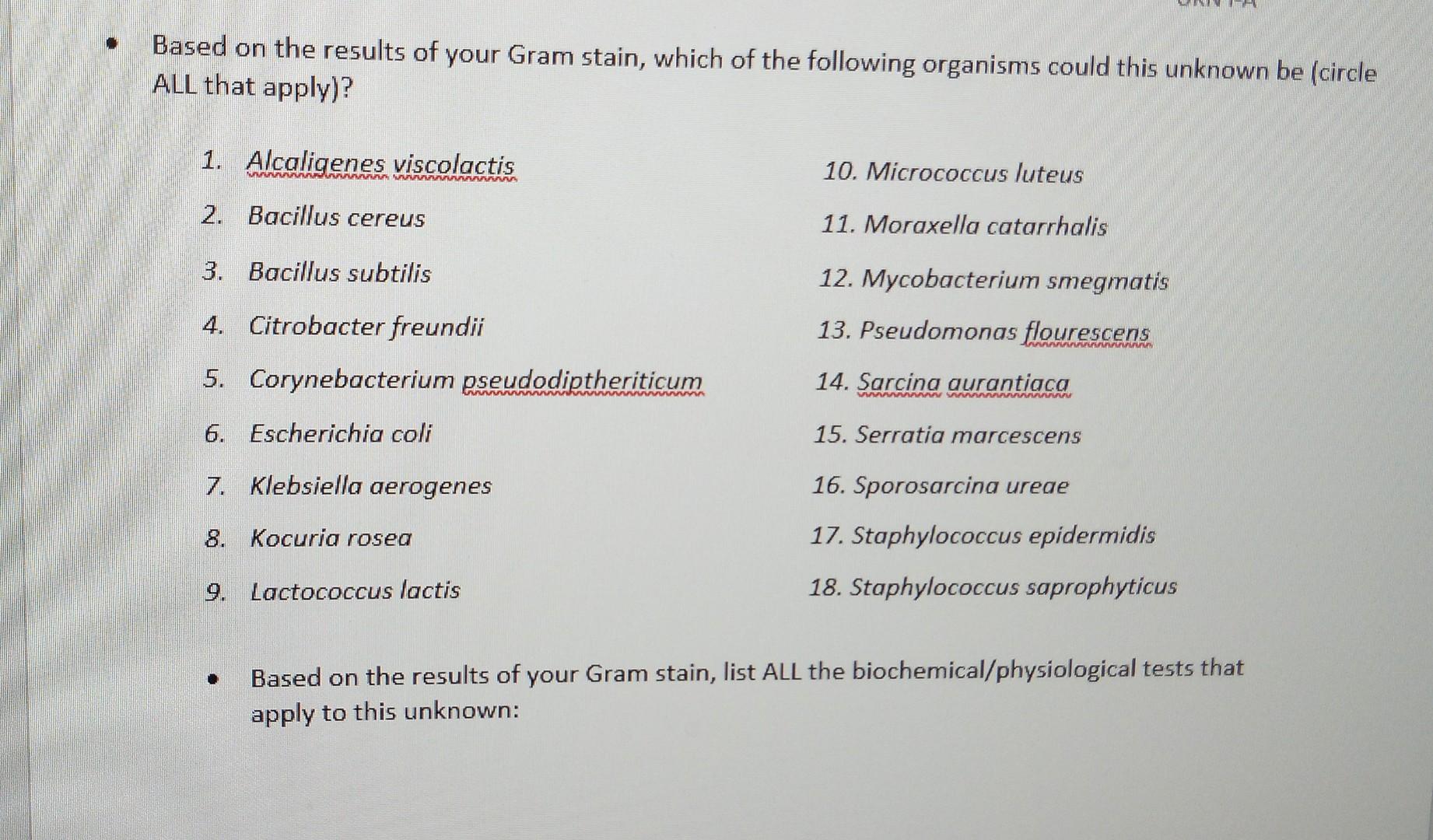  Broth Characteristics Colony