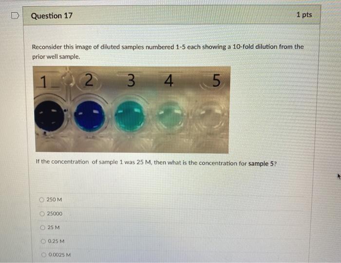 solved-options-for-last-question-solute-solution-solvent-chegg