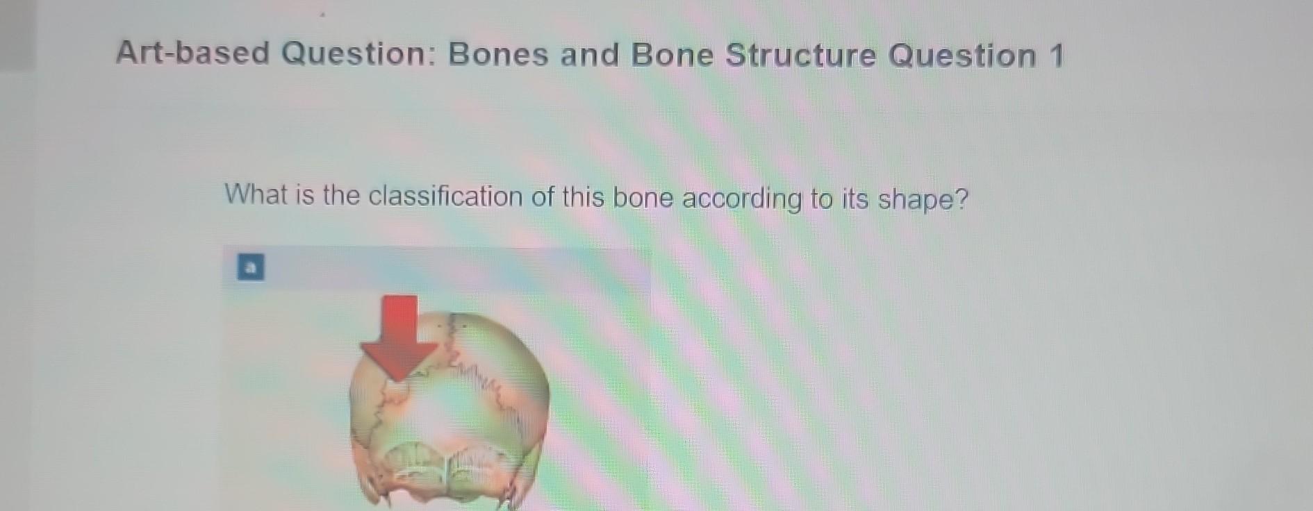 Solved What is the classification of this bone according to
