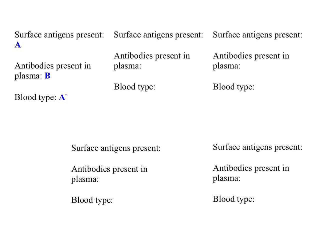 Solved Surface antigens present Surface antigens present