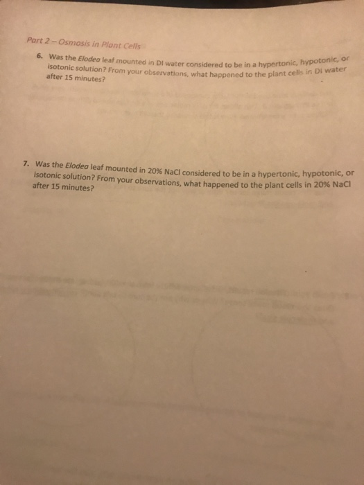 Solved Part 2Osmosis in Plont Cells 6. Was the Elodea leaf
