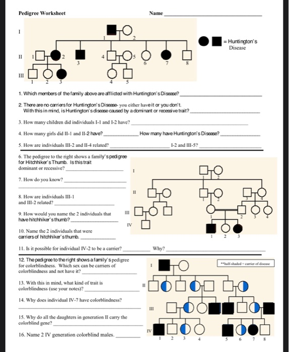 Solved Name Genetics Pedigree Worksheet A pedigree is a | Chegg.com