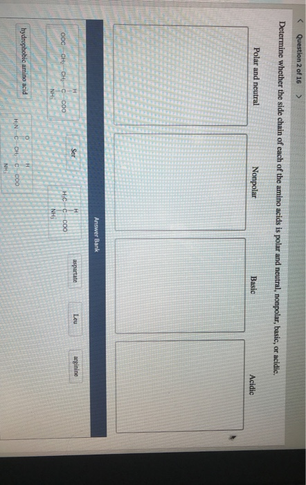 Solved Question 2 of 16 > Determine whether the side chain | Chegg.com