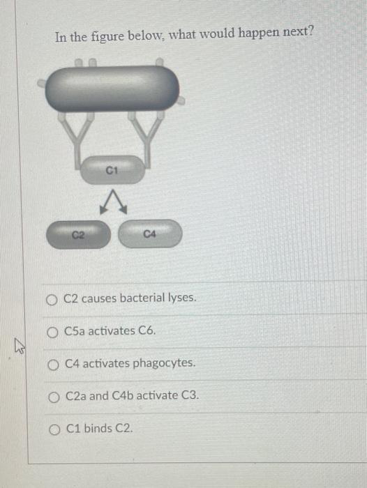 Solved In the figure below, what would happen next? C1 A C2