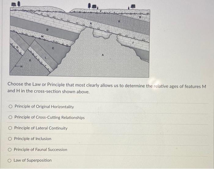 Solved Choose the Law or Principle that most clearly allows | Chegg.com