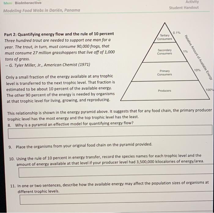 energy pyramid 10 percent rule