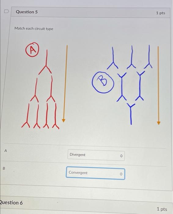 Solved D Question Pts Match Each Circuit Type B L Chegg Com