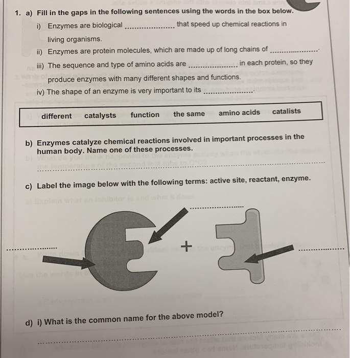 Solved 1. a) Fill in the gaps in the following sentences | Chegg.com