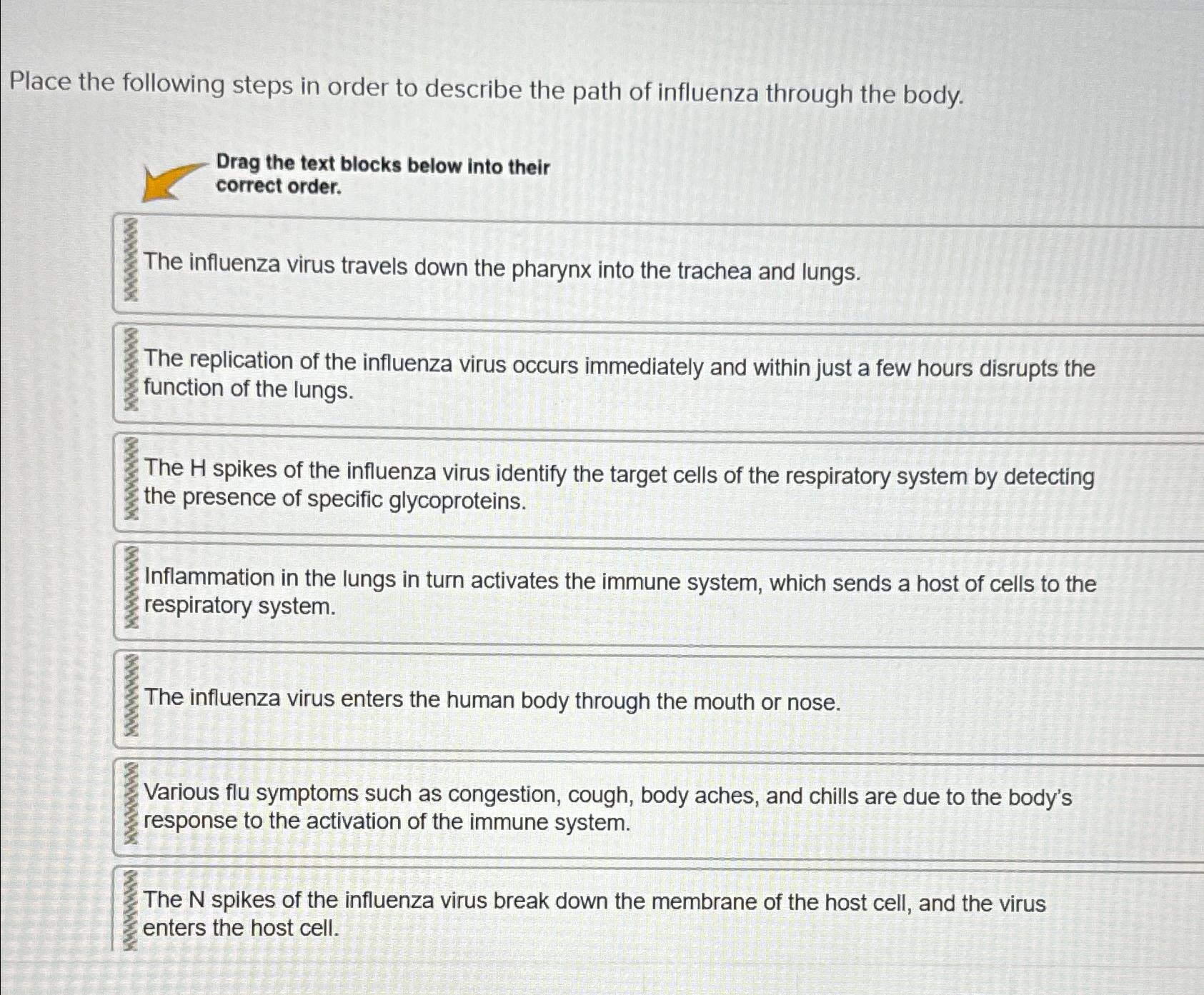 Solved Place the following steps in order to describe the | Chegg.com