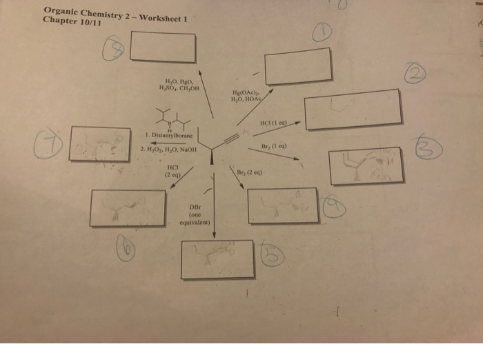 organic chemistry chapter 10 homework answers