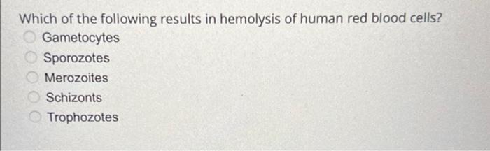 Which of the following results in hemolysis of human red blood cells?
Gametocytes
Sporozotes
Merozoites
Schizonts
Trophozotes