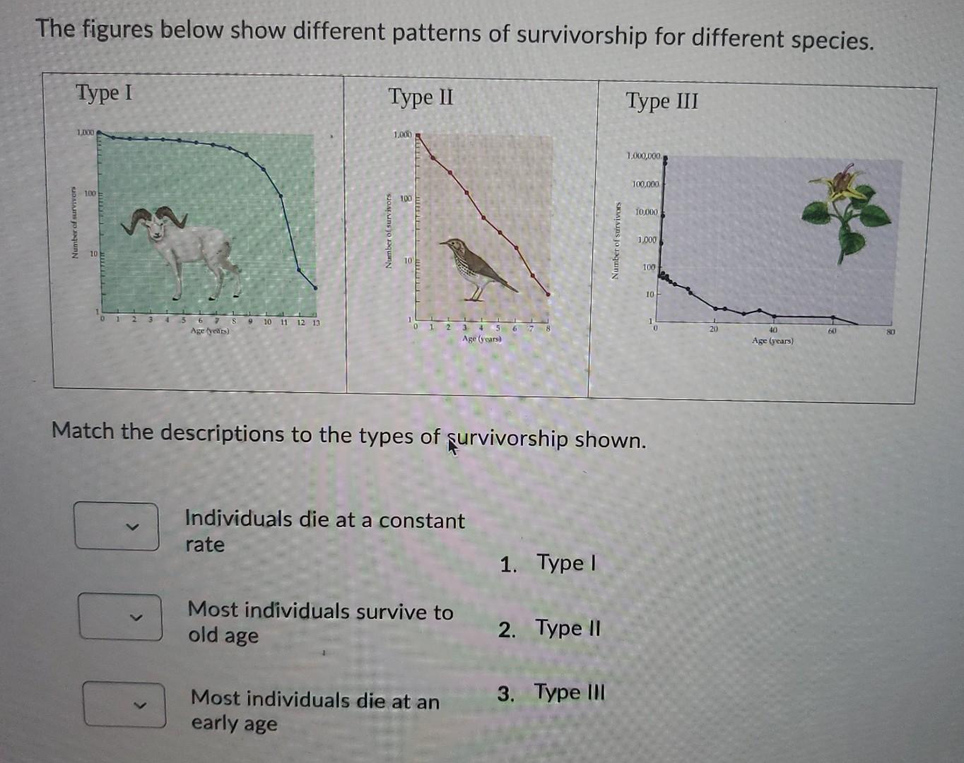 Solved The figures below show different patterns of | Chegg.com
