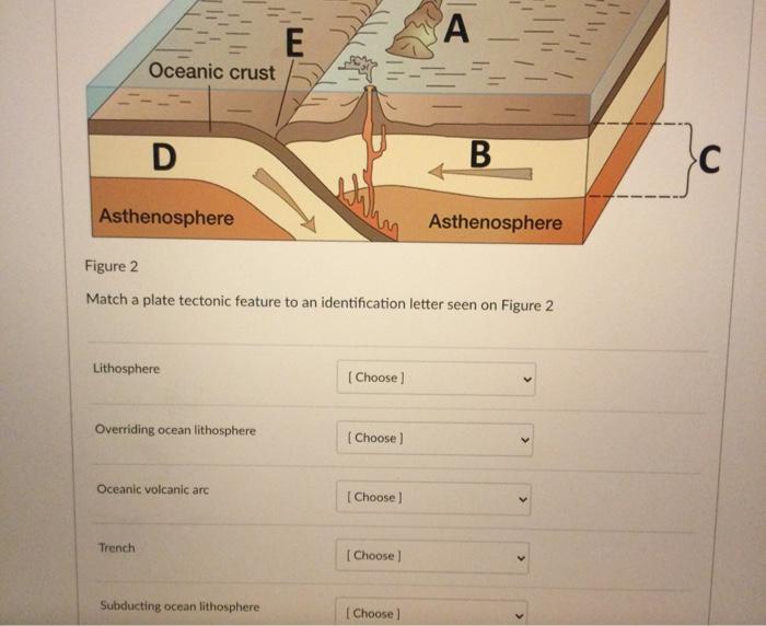 Solved Label the corresponding letters to the correct | Chegg.com