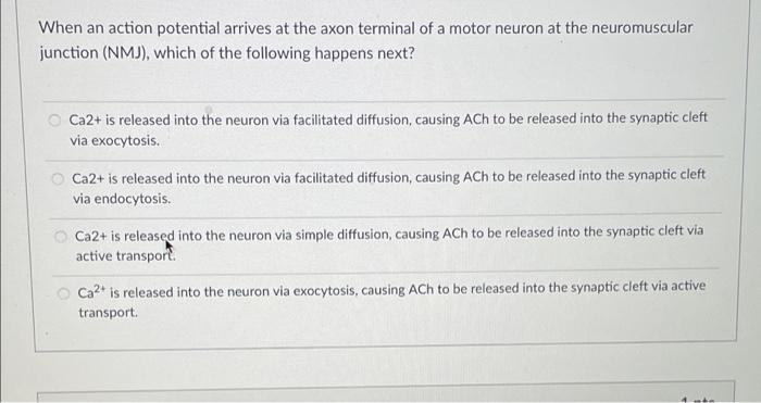 Solved When an action potential arrives at the axon terminal | Chegg.com