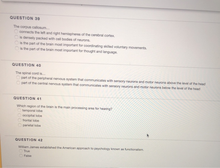 Solved QUESTION 39 The corpus callosum.. connects the left | Chegg.com