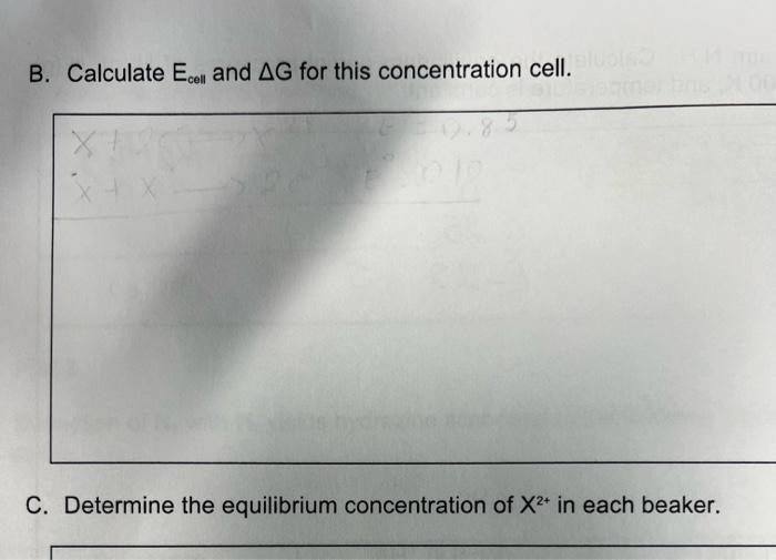 Solved Consider the following concentration cell. The volume | Chegg.com