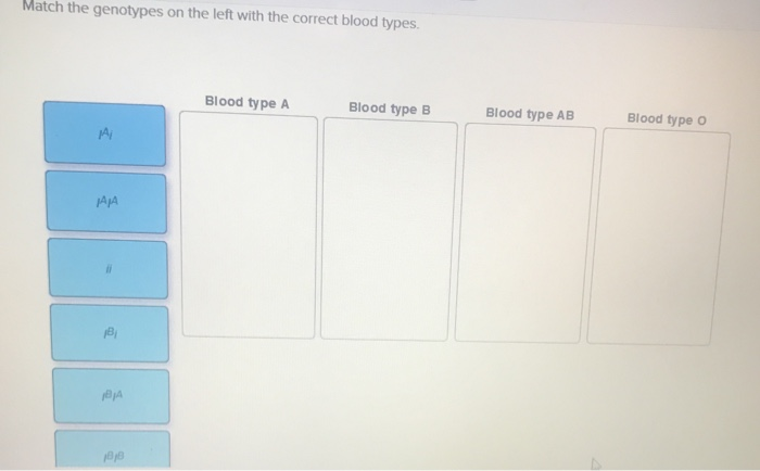 Match types what blood Blood Safety