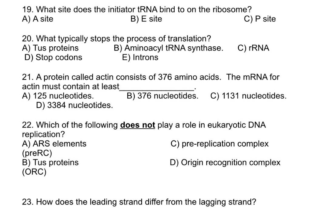 Solved 19. What site does the initiator tRNA bind to on the | Chegg.com