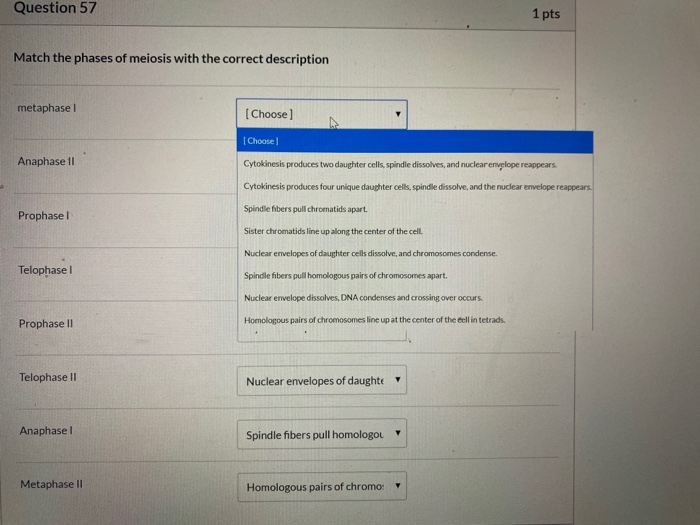 Solved Question 57 1 pts Match the phases of meiosis with