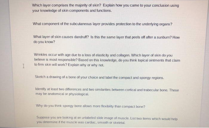 Solved Which layer comprises the majority of skin? Explain | Chegg.com