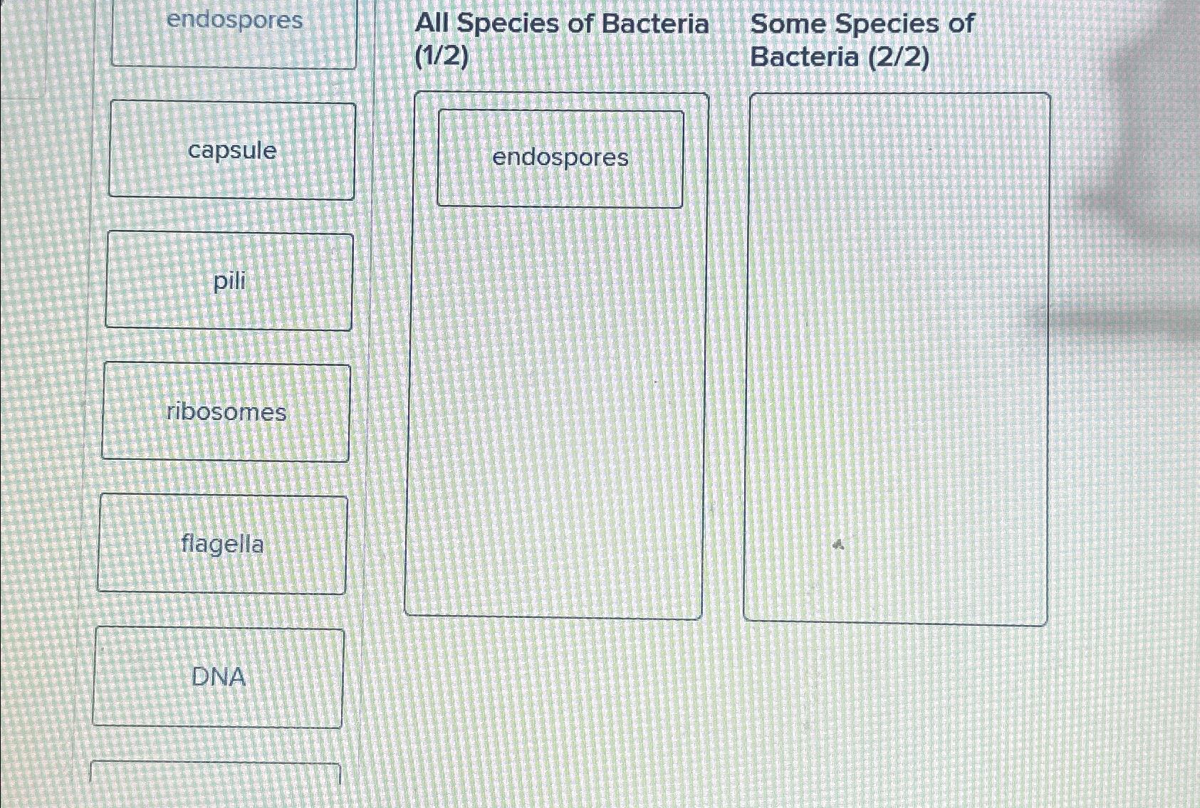 Solved All Species of BacteriaSome Species of(1/2)Bacteria | Chegg.com