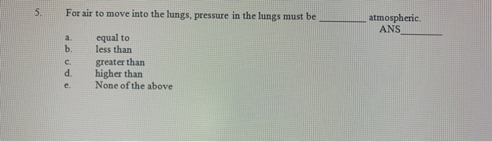 the amount of dead air space present in the lungs of an average adult is approximately