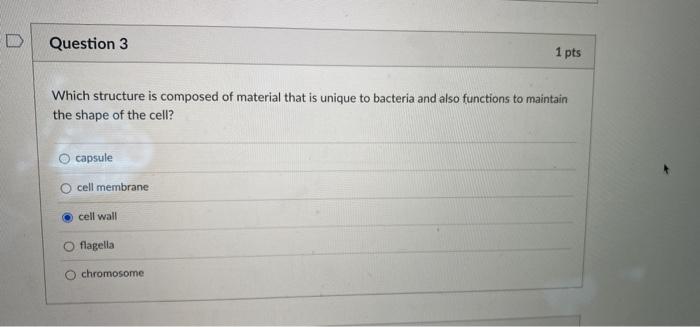 Solved D Question 3 1 pts Which structure is composed of | Chegg.com