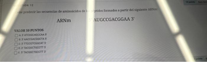 be predecir las secuencias de aminoácidos de lo ptidos formados a partir del siguiente ARNm: ARNm AUGCCGACGGAA 3 VALOR 10 PU