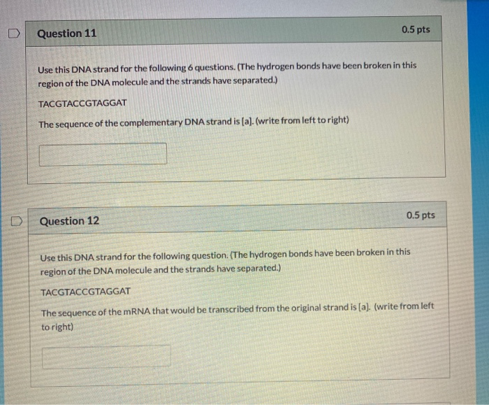 Solved D Question 11 0.5 pts Use this DNA strand for the | Chegg.com