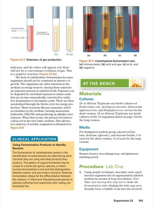 Solved Observations and Results Lactose Observation (color | Chegg.com