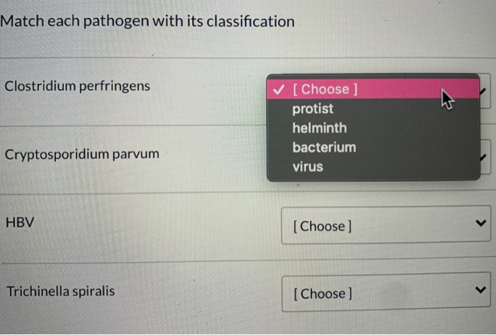 Solved Match each pathogen with its classification | Chegg.com