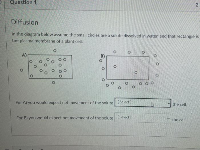 Solved Question 1 2 Diffusion In the diagram below assume | Chegg.com