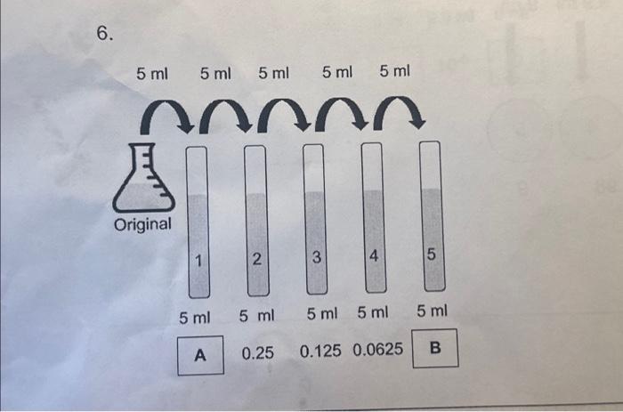 Solved 6 5 Ml 5 Ml 5 Ml 000 C Original 1 5 Ml A 2 5 Ml 0 25 Chegg Com   Image