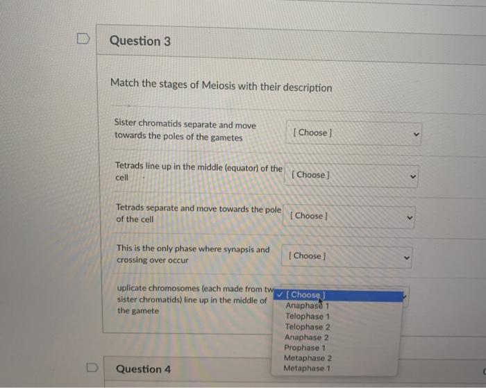 Solved Question 3 Match the stages of Meiosis with their | Chegg.com