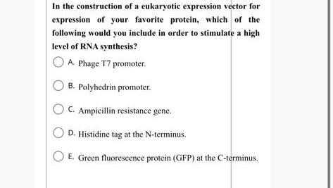 Solved In the construction of a eukaryotic expression vector | Chegg.com