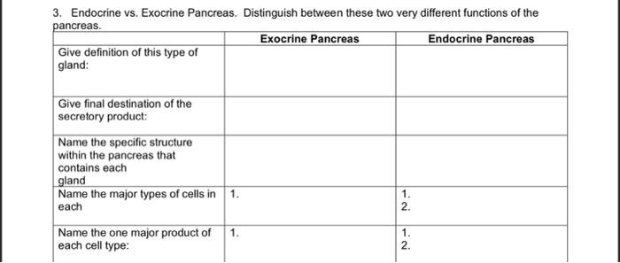 pancreas endocrine function