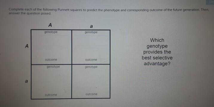 Solved Complete each of the following Punnett squares to | Chegg.com