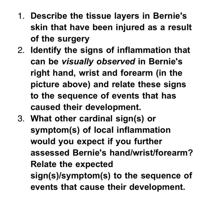 1. Describe the tissue layers in Bernies skin that have been injured as a result of the surgery 2. Identify the signs of inf