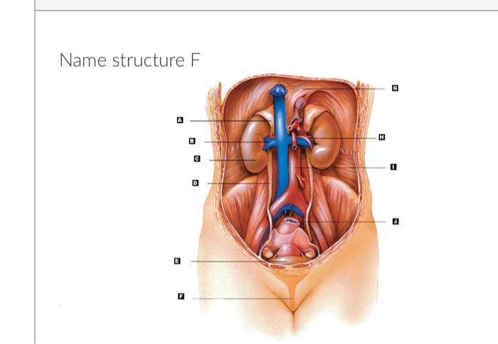 Name structure \( F \)