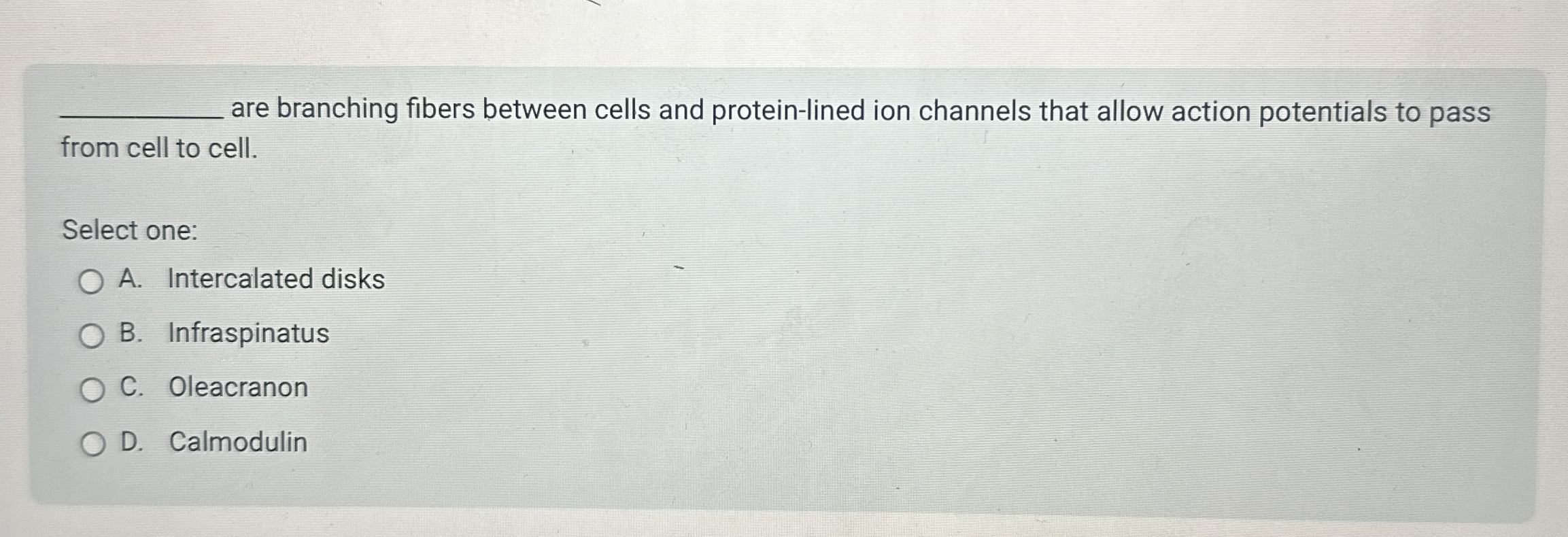 Solved q, ﻿are branching fibers between cells and | Chegg.com