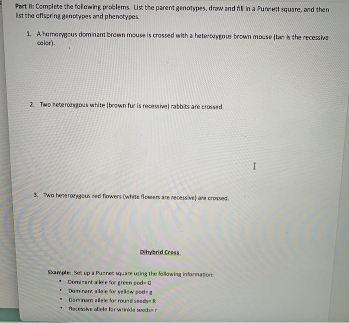 Solved Punnett Square Worksheet Part 1: Complete The | Chegg.com