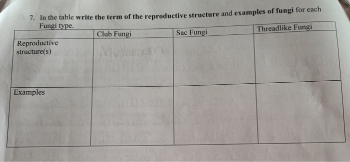 Solved 7 In The Table Write The Term Of The Reproductive Chegg Com