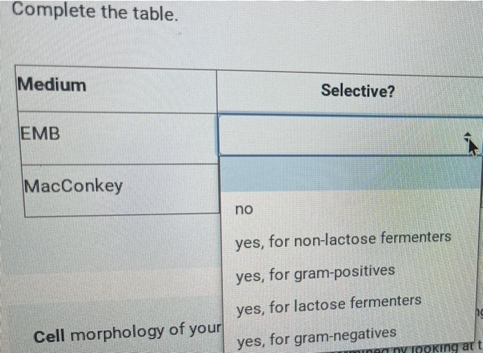 Solved Complete the table. Medium Selective? Differential? | Chegg.com