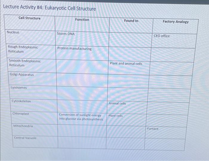 Solved Lecture Activity \#4: Eukaryotic Cell Structure | Chegg.com