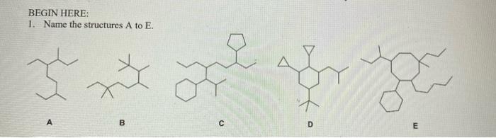Solved BEGIN HERE: 1. Name the structures A to E. B C D | Chegg.com