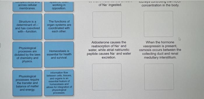 across collular membranes wy working in opposition of Na ingested MOYO WITH HIGIVI concentration in the body, Structure is a