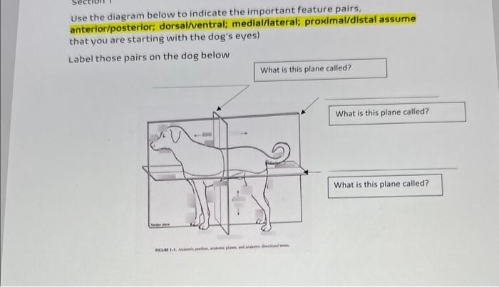Solved Use the diagram below to indicate the important | Chegg.com